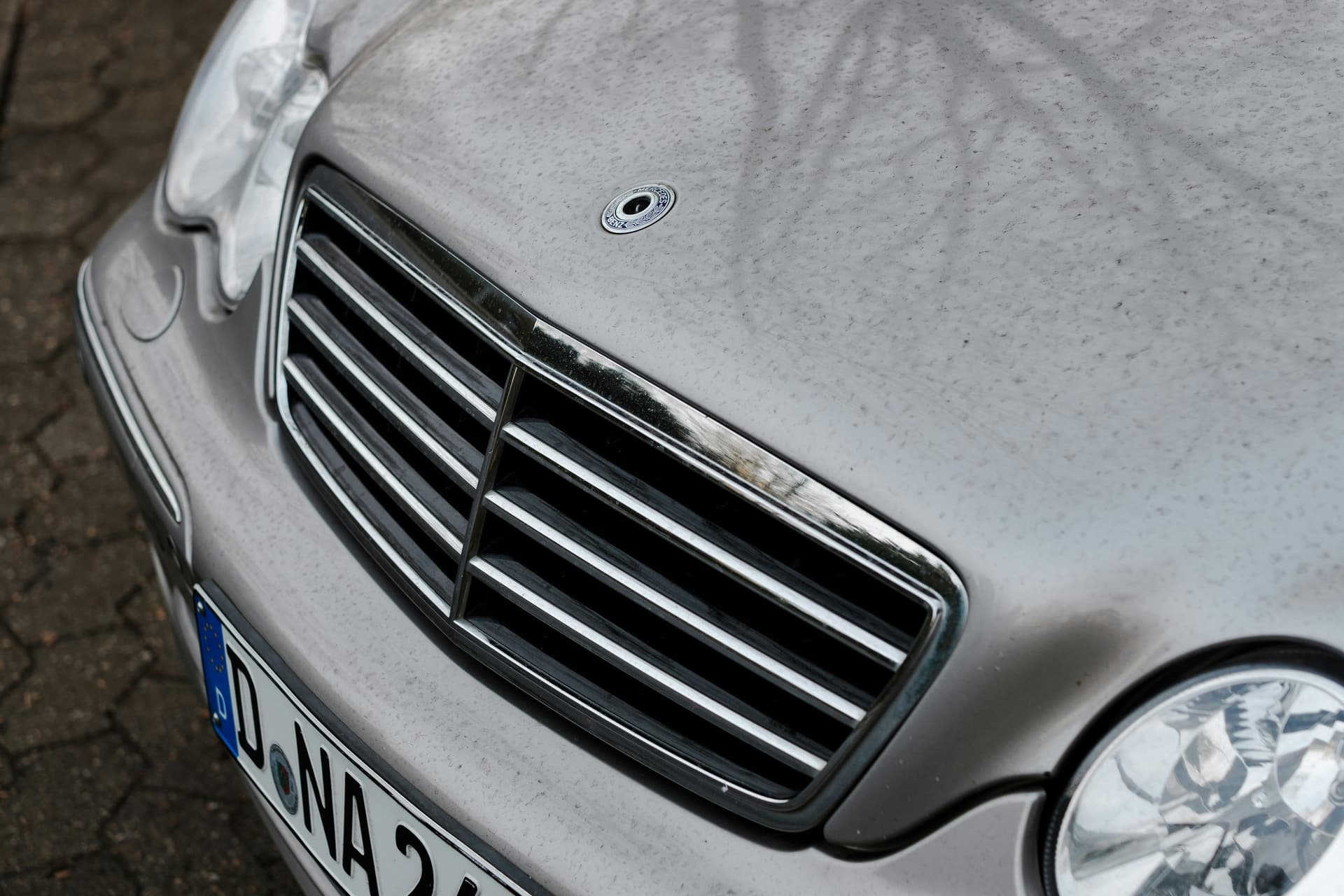 Titel: Was passiert mit alten Nummernschildern nach der Abmeldung?